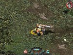 Sacred Gold КЛЮЧ STEAM ВСЕ СТРАНЫ - изображение № 3