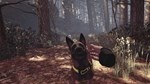 Blair Witch КЛЮЧ STEAM ВСЕ СТРАНЫ - изображение № 10