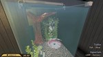 Pets Hotel КЛЮЧ STEAM ВСЕ СТРАНЫ - изображение № 5