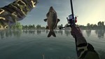 Ultimate Fishing Simulator КЛЮЧ STEAM РФ+СНГ - изображение № 10