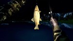 Ultimate Fishing Simulator КЛЮЧ STEAM РФ+СНГ - изображение № 7