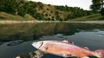 Ultimate Fishing Simulator КЛЮЧ STEAM РФ+СНГ - изображение № 3