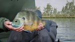 (DLC) Fishing Sim World: Pro Tour – Lake Williams КЛЮЧ� - изображение № 2