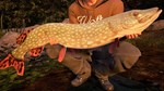 Fishing Sim World - Quad Lake Pass КЛЮЧ STEAM ROW - изображение № 7