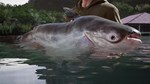 (DLC) Fishing Sim World: Pro Tour – Giant Carp Pack КЛЮ - изображение № 6