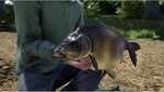 (DLC) Fishing Sim World: Pro Tour – Giant Carp Pack КЛЮ - изображение № 4