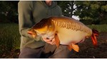 (DLC) Fishing Sim World: Pro Tour – Giant Carp Pack КЛЮ - изображение № 5