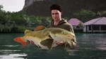 (DLC) Fishing Sim World: Pro Tour – Giant Carp Pack КЛЮ - изображение № 2