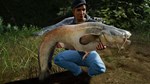 (DLC) Fishing Sim World: Pro Tour – Jezioro Bestii КЛЮЧ - изображение № 4
