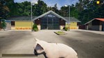 DLC Animal Shelter - Puppies & Kittens DLC КЛЮЧ S - изображение № 8