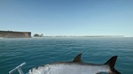DLC Ultimate Fishing Simulator - Florida КЛЮЧ STEAM - изображение № 3