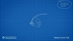 DLC Ultimate Fishing Simulator - Thailand КЛЮЧ STEAM - изображение № 6