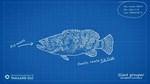 DLC Ultimate Fishing Simulator - Thailand КЛЮЧ STEAM - изображение № 9