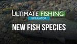 DLC Ultimate Fishing Simulator - New Fish Species КЛЮЧ� - изображение № 8