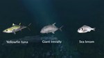 DLC Ultimate Fishing Simulator - New Fish Species КЛЮЧ� - изображение № 4