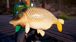 Fishing Sim World: Pro Tour - Deluxe Edition КЛЮЧ - изображение № 4