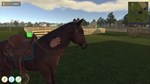 Animal Trainer Simulator КЛЮЧ STEAM ВСЕ СТРАНЫ - изображение № 11