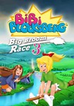 Bibi Blocksberg™ - Big Broom Race 3 КЛЮЧ STEAM ВСЕ СТ