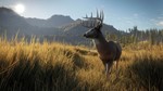  theHunter: Call of the Wild ( Region Free )  - изображение № 3
