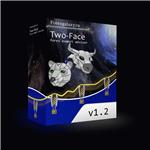 Советник Two-Face v1.2 (NEW 10.02.2010г) - изображение № 4