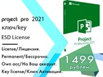 Microsoft Project 2021 Professional официальный ключ