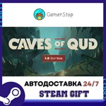 Caves of Qud️STEAM GIFT АВТО️RU/УКР/СНГ