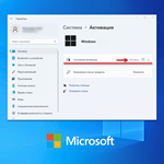 Лицензионный ключ активации для Windows 10 Home - изображение № 3