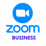 ZOOM ONE BUSINESS | 300 ЧЕЛОВЕК | 1 МЕСЯЦ
