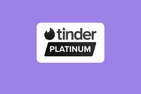 Tinder Platinum 6 Months Subscription 🔥Worldwide 🔥