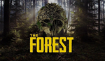 The forest PS4/PS5 п2-п3