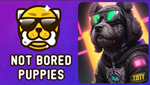РЕФЕРАЛЫ НА NOT BORED PUPPIES 100% ГАРАНТИЯ