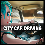 CITY CAR DRIVINGSTEAM ACCOUNT