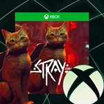 STRAY Xbox One & Series X|S + PC АКТИВАЦИЯ 