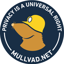 🔴Mullvad VPN Premium 🌏Global【1/2/3 месяца..】ГАРАНТИЯ✨