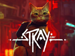 StraySteam⭐️0% КартыАКЦИЯ