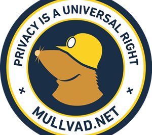 🐻Mullvad VPN Premium АККАУНТ 2026 ГОД I ГАРАНТИЯ🐻