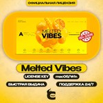 ️ Native Instruments – Melted Vibes [1OO% лицензия]