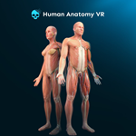  Human Anatomy VR PS ТУРЦИЯ