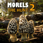 Morels The Hunt 2 PS ТУРЦИЯ