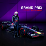  Grand Prix Formula One PS ТУРЦИЯ