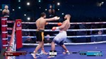 Undisputed - Deluxe WBC Edition Xbox series XS - изображение № 2