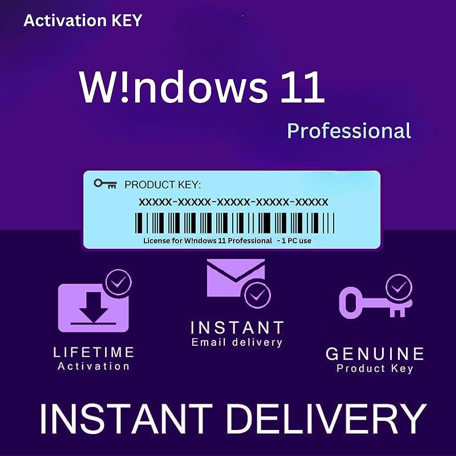 Windows 11 Pro OEM Key – Instant Delivery | PayPal