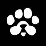 Купить Рефералы PAWS @PAWSOG_bot