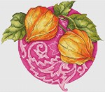 Эксклюзив. схема для вышивки крестом Физалис