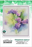 Эксклюзив. схема для вышивки крестом Радужные ирисы