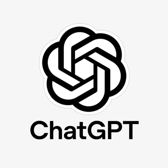 🔵 CHATGPT PLUS – ОЧЕНЬ МАЛО ЛЮДЕЙ – 1 МЕСЯЦ