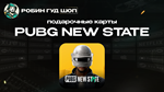 PUBG NEW STATE (NC)
