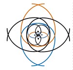 1. Лицензия на Жизненный цикл Начальника