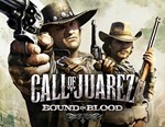 Call of Juarez: Bound in Blood (GLOBAL Steam KEY)