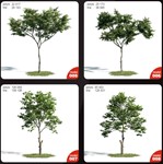 Evermotion Archmodels vol.171 - изображение № 2